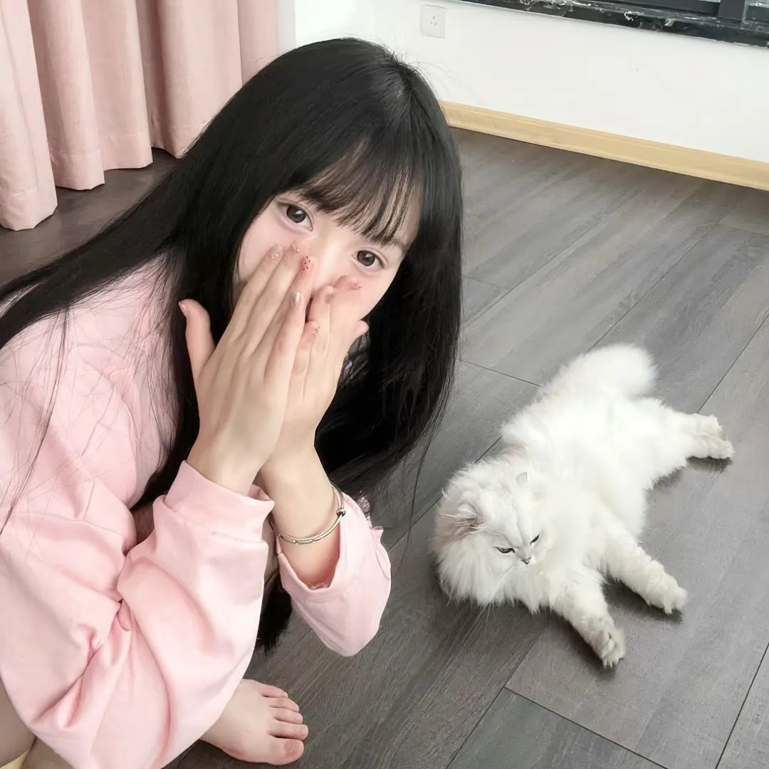 春日苦短少年恋爱吧。
